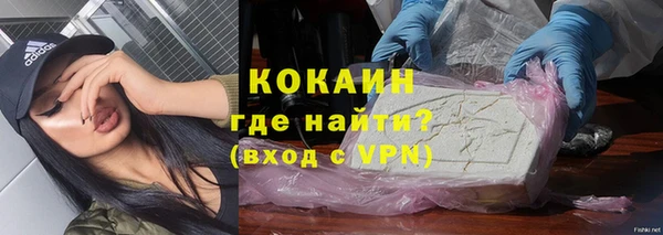 молекула духа Вяземский