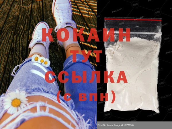 молекула духа Вяземский