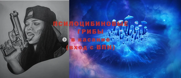молекула духа Вяземский