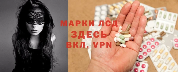 молекула духа Вяземский
