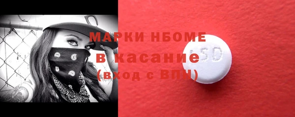 молекула духа Вяземский