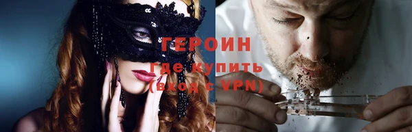 молекула духа Вяземский