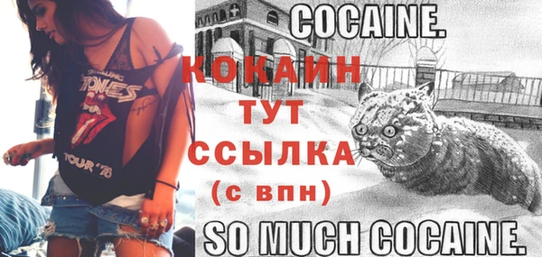 молекула духа Вяземский