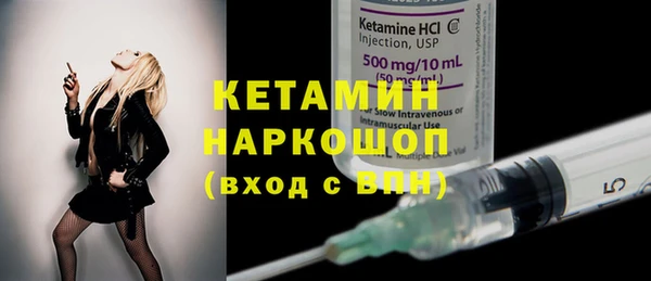 молекула духа Вяземский