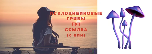 прущие грибы Вязники