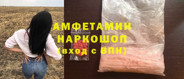 молекула духа Вяземский