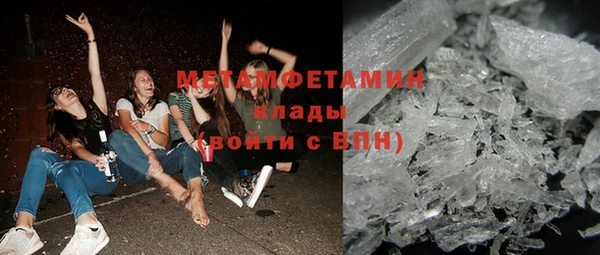 молекула духа Вяземский