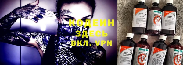 молекула духа Вяземский