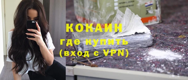 прущие грибы Вязники