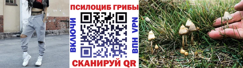 Псилоцибиновые грибы MAGIC MUSHROOMS  цена   Егорьевск 