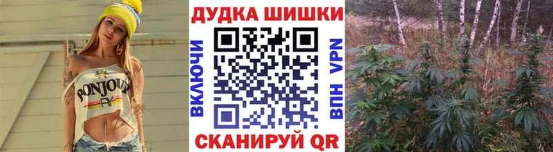 Бошки Шишки ГИДРОПОН  Егорьевск 